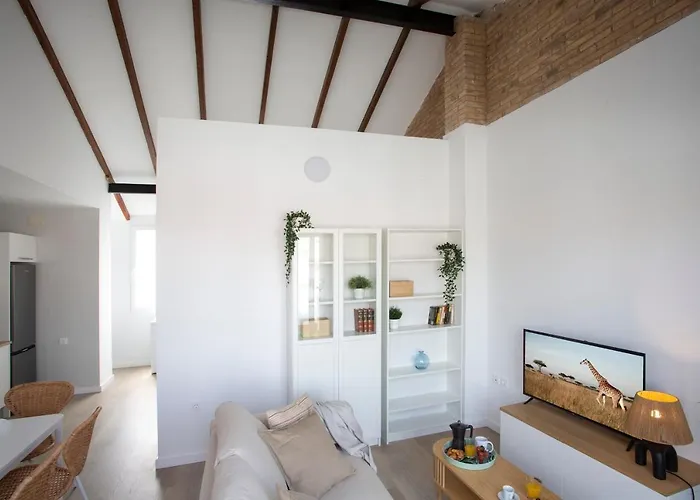 Singularstays Vivons Valencia